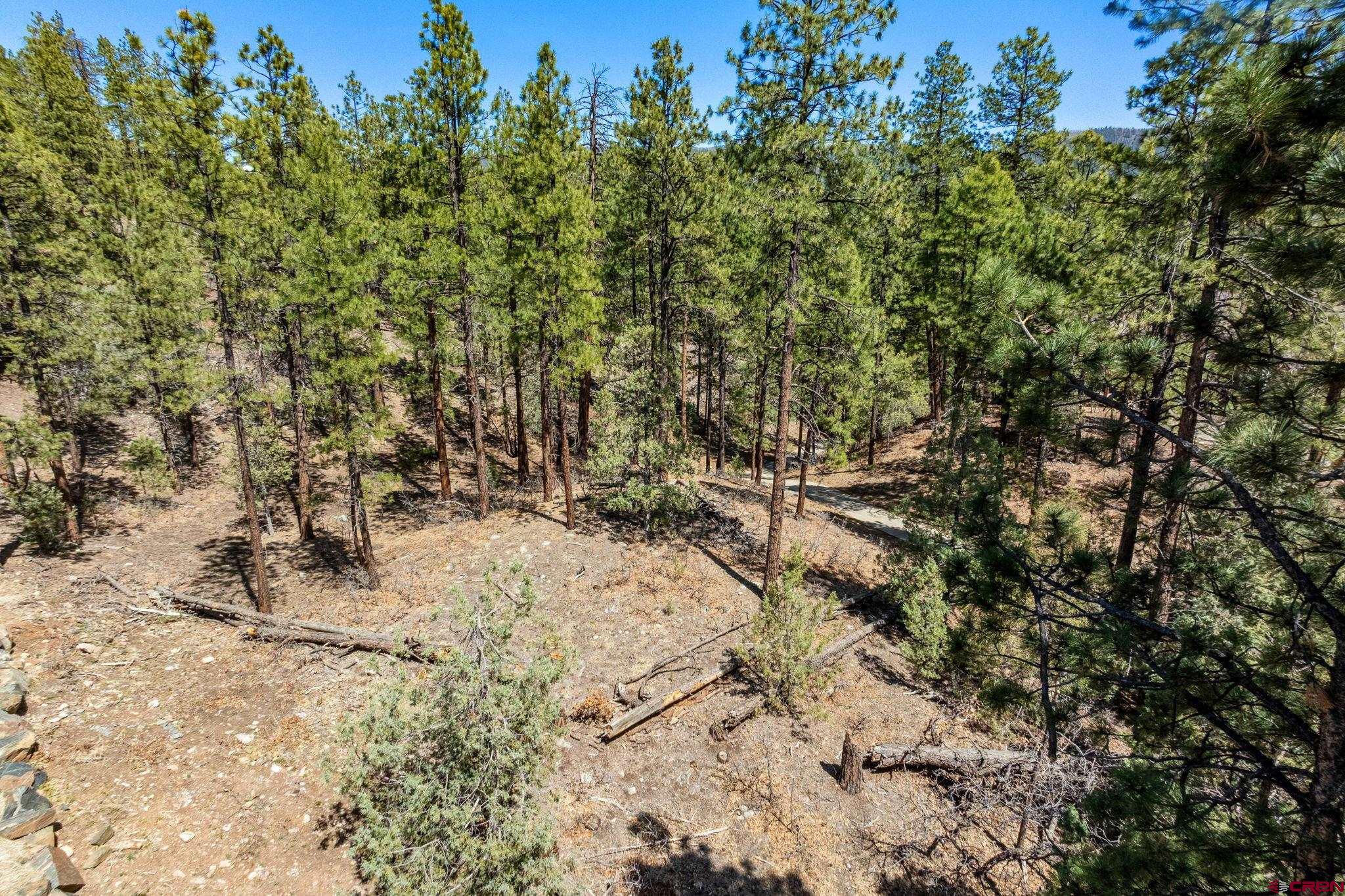 91 Ambush Canyon Durango, CO 81301 - Photo 15 of 25