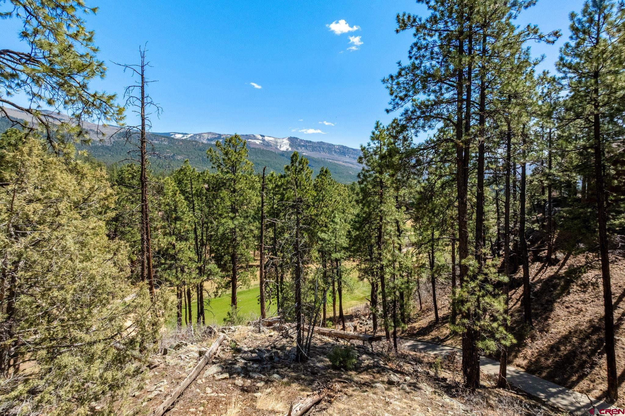 91 Ambush Canyon Durango, CO 81301 - Photo 18 of 25