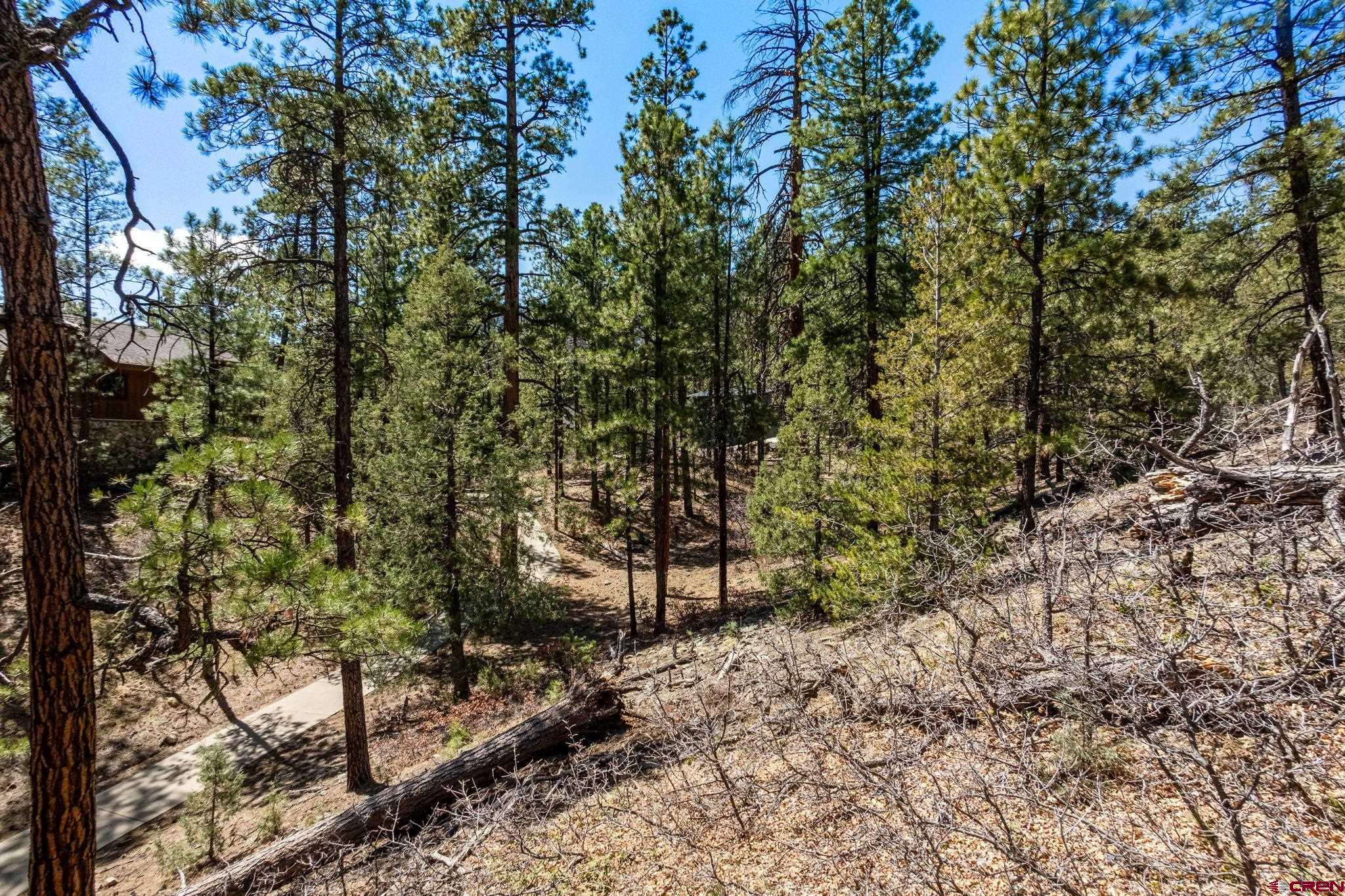 91 Ambush Canyon Durango, CO 81301 - Photo 19 of 25