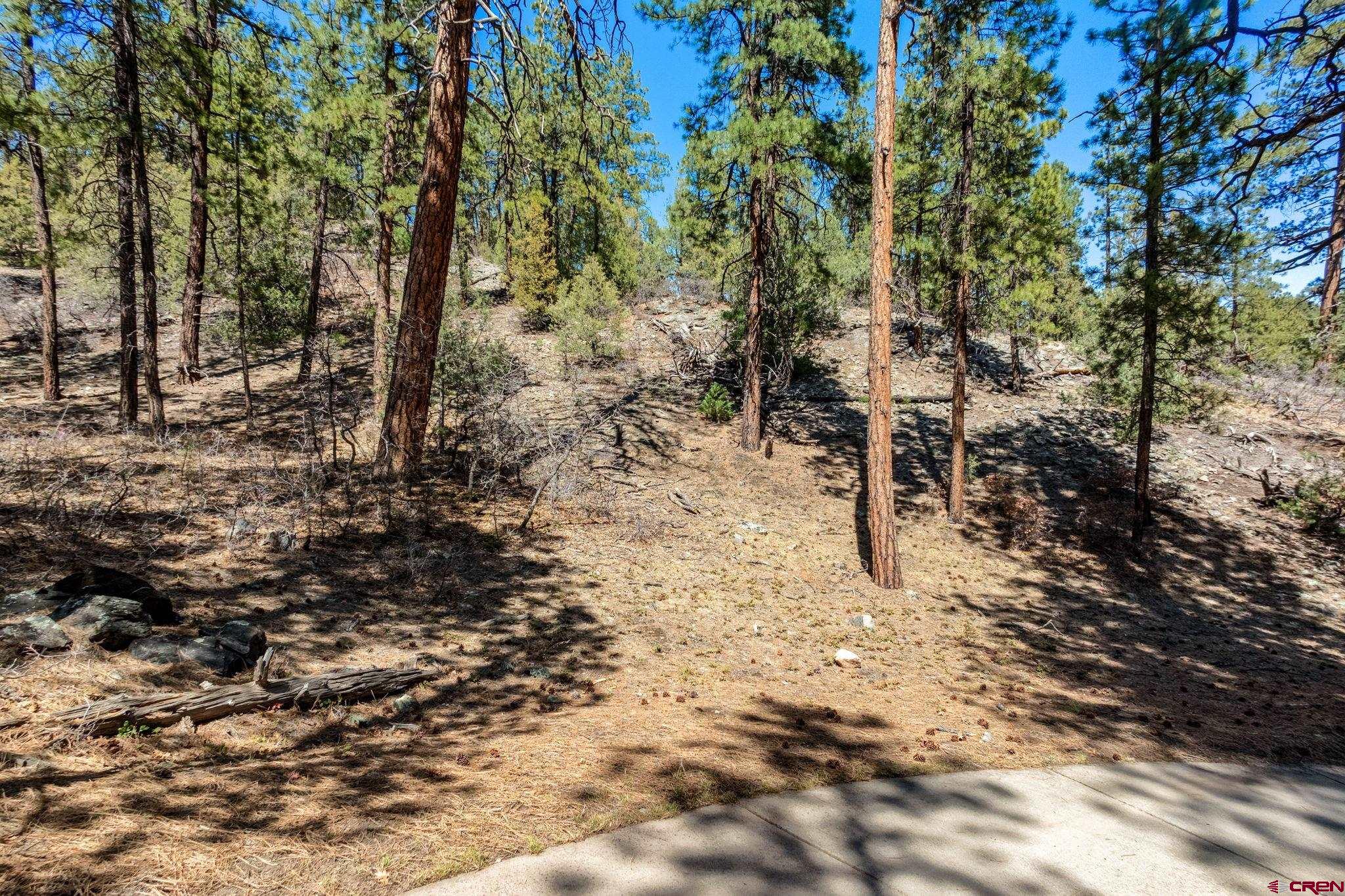 91 Ambush Canyon Durango, CO 81301 - Photo 20 of 25