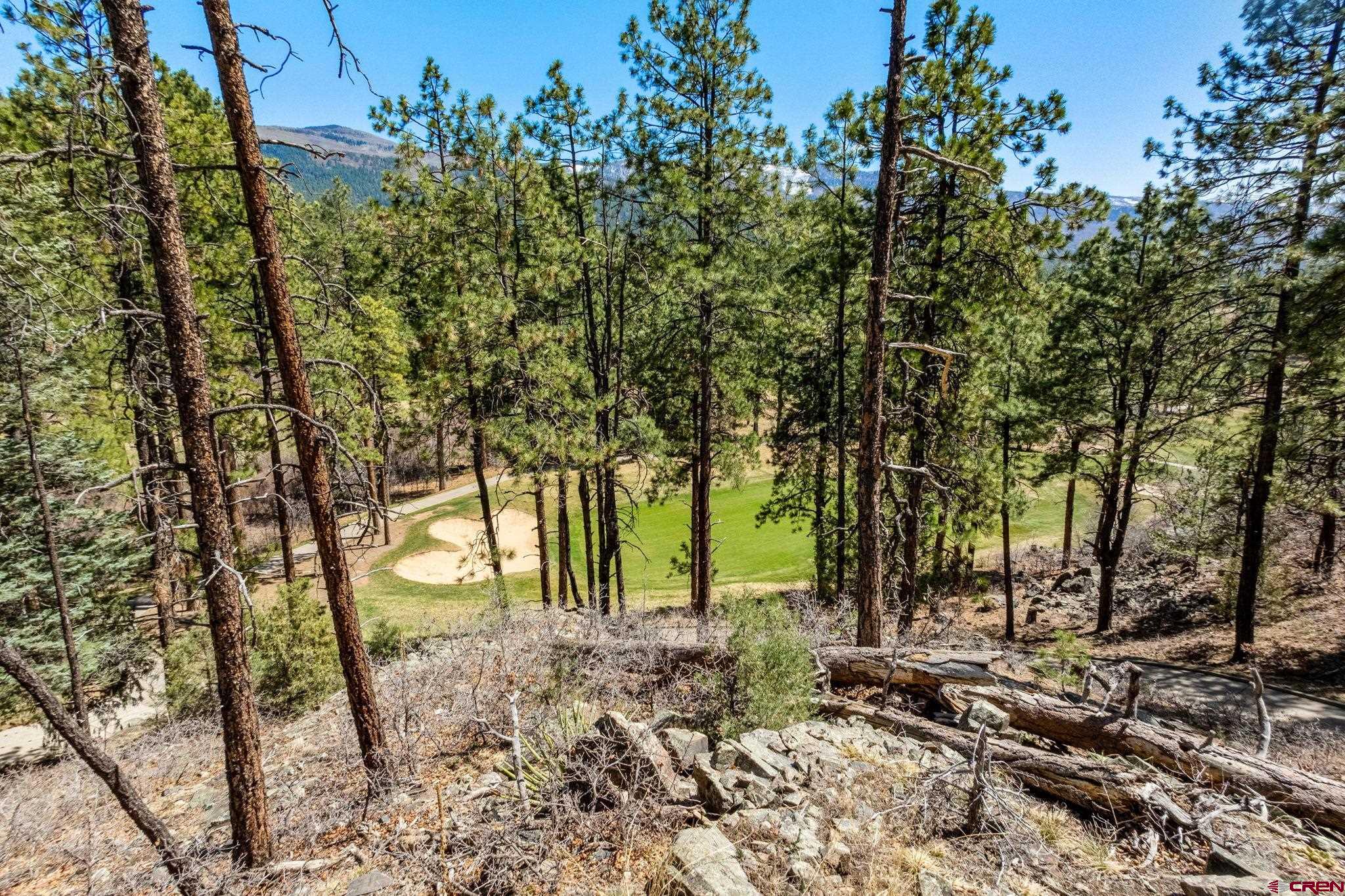91 Ambush Canyon Durango, CO 81301 - Photo 2 of 25