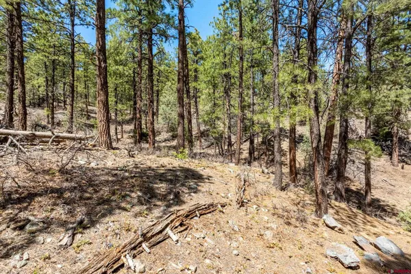 $399,000 | 91 Ambush Canyon, Durango, CO 81301