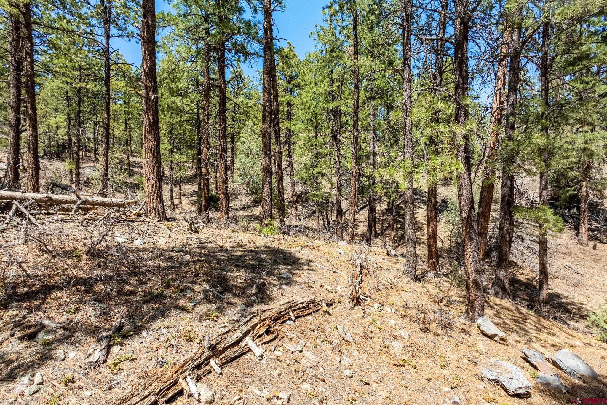 91 Ambush Canyon Durango, CO 81301 - Photo 21 of 25
