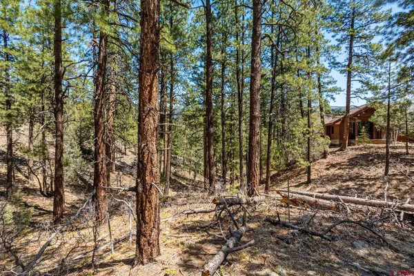 $399,000 | 91 Ambush Canyon, Durango, CO 81301