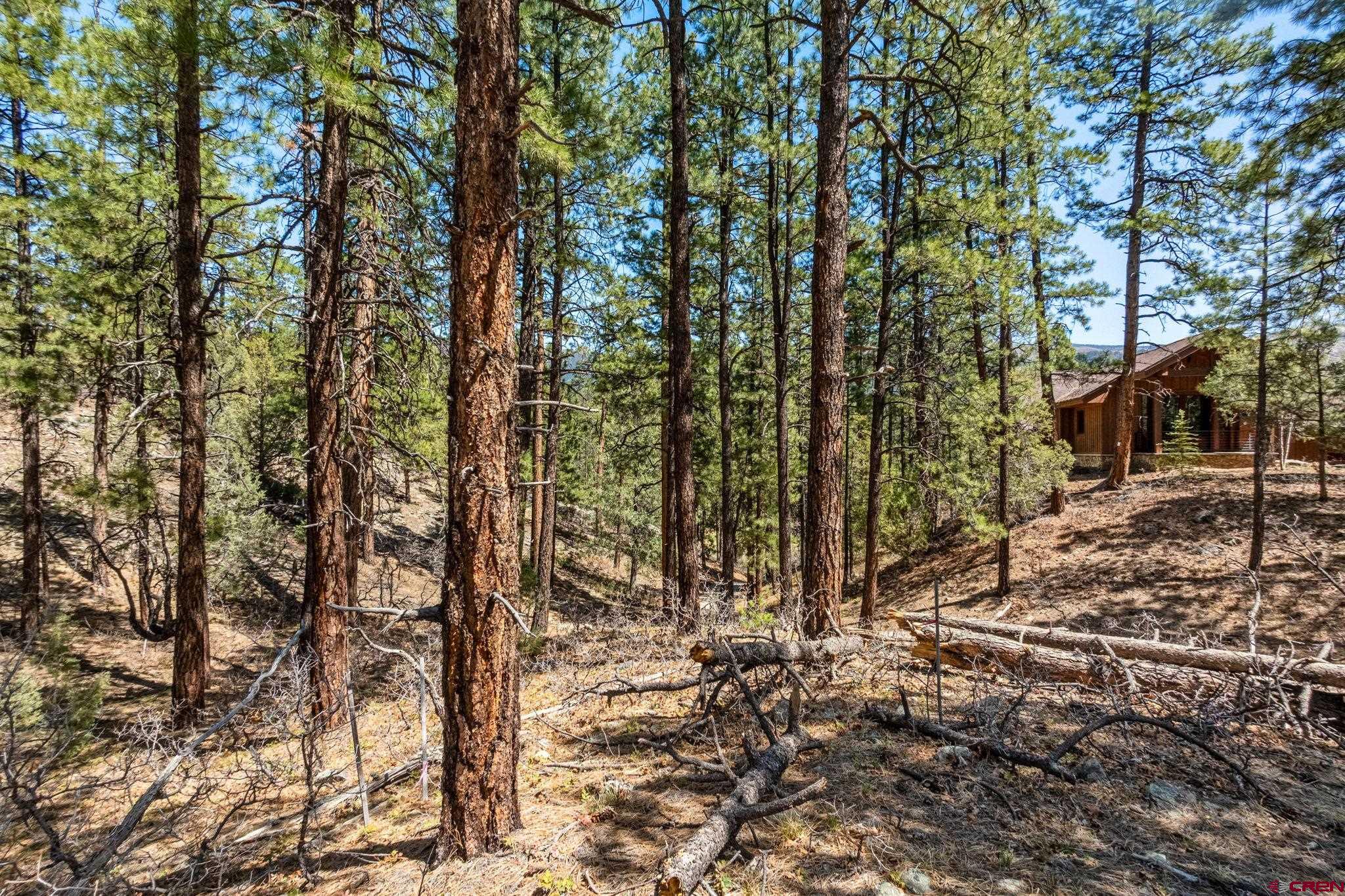 91 Ambush Canyon Durango, CO 81301 - Photo 22 of 25