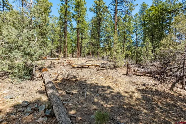 $399,000 | 91 Ambush Canyon, Durango, CO 81301