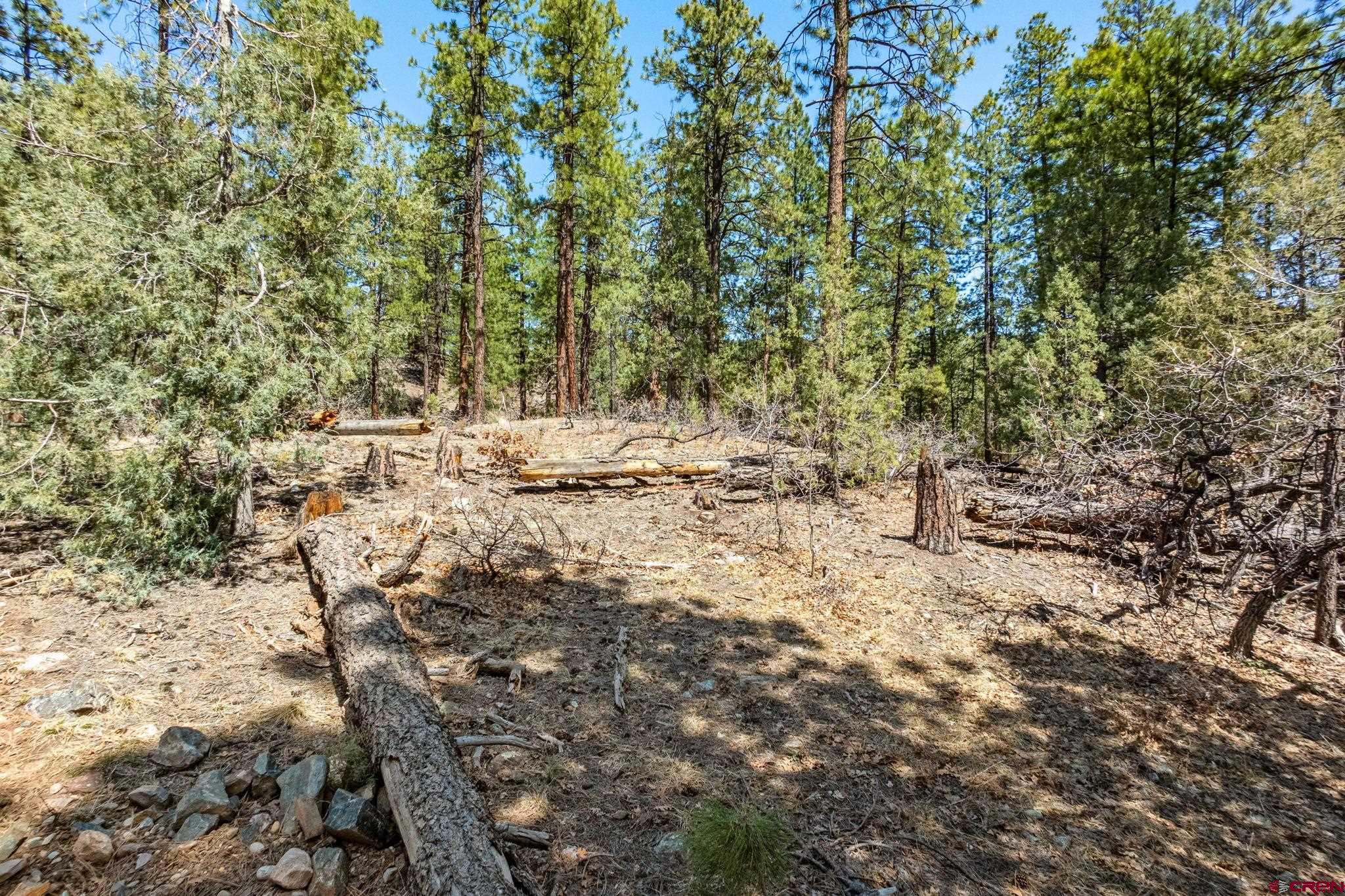 91 Ambush Canyon Durango, CO 81301 - Photo 23 of 25