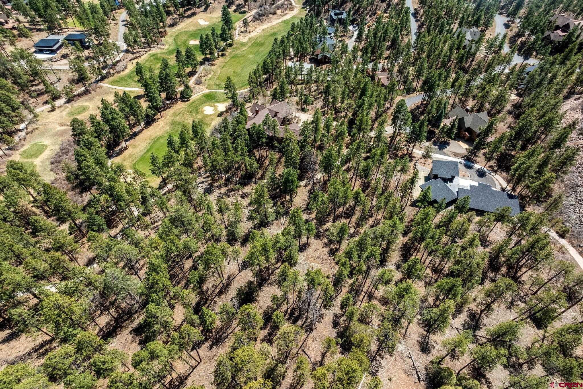 91 Ambush Canyon Durango, CO 81301 - Photo 10 of 25