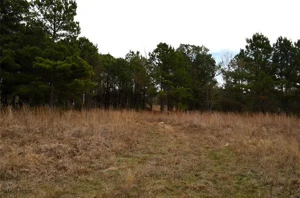 a view of lake with a lots of trees