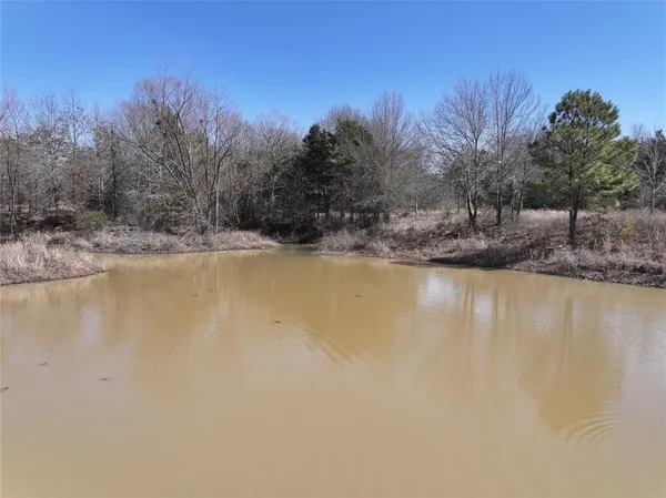 a view of a dry yard with trees