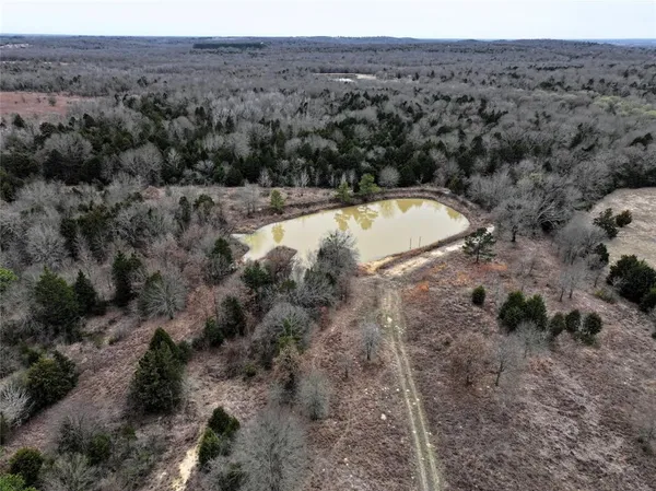 a view of a dry yard