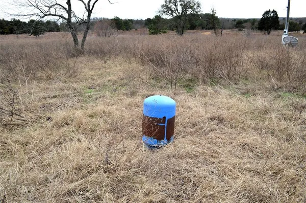 a view of backyard with green space