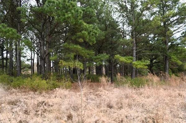 a view of a large yard with lots of plants