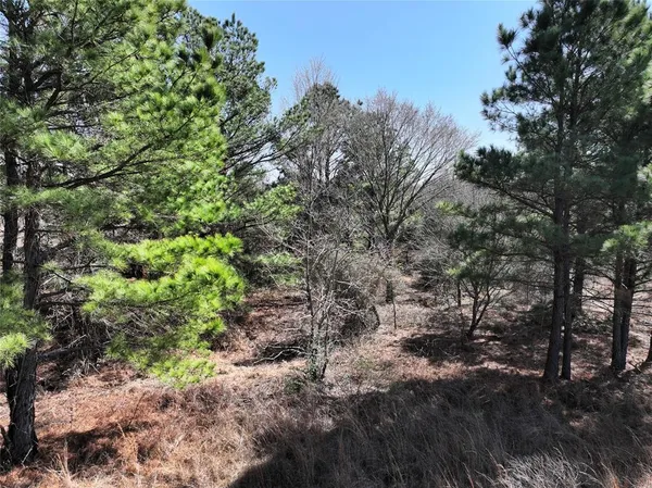 a view of a field with trees in the background