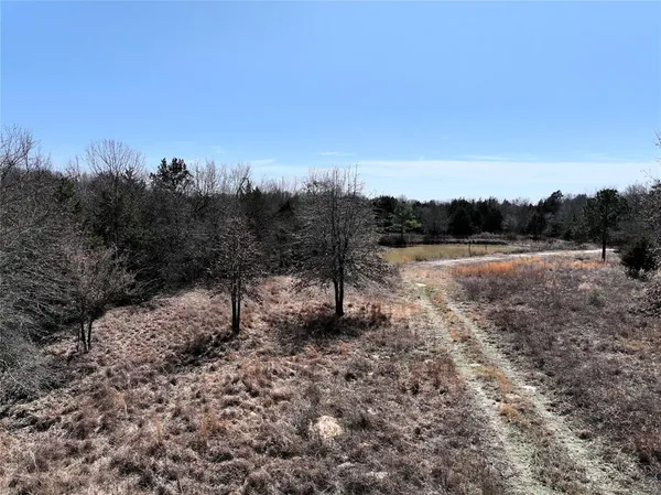 a view of a tree with a yard