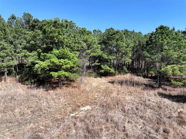 $500,000 | 3843 Farm To Market Road 1256, Eustace, TX 75124