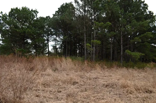a view of lake with green space