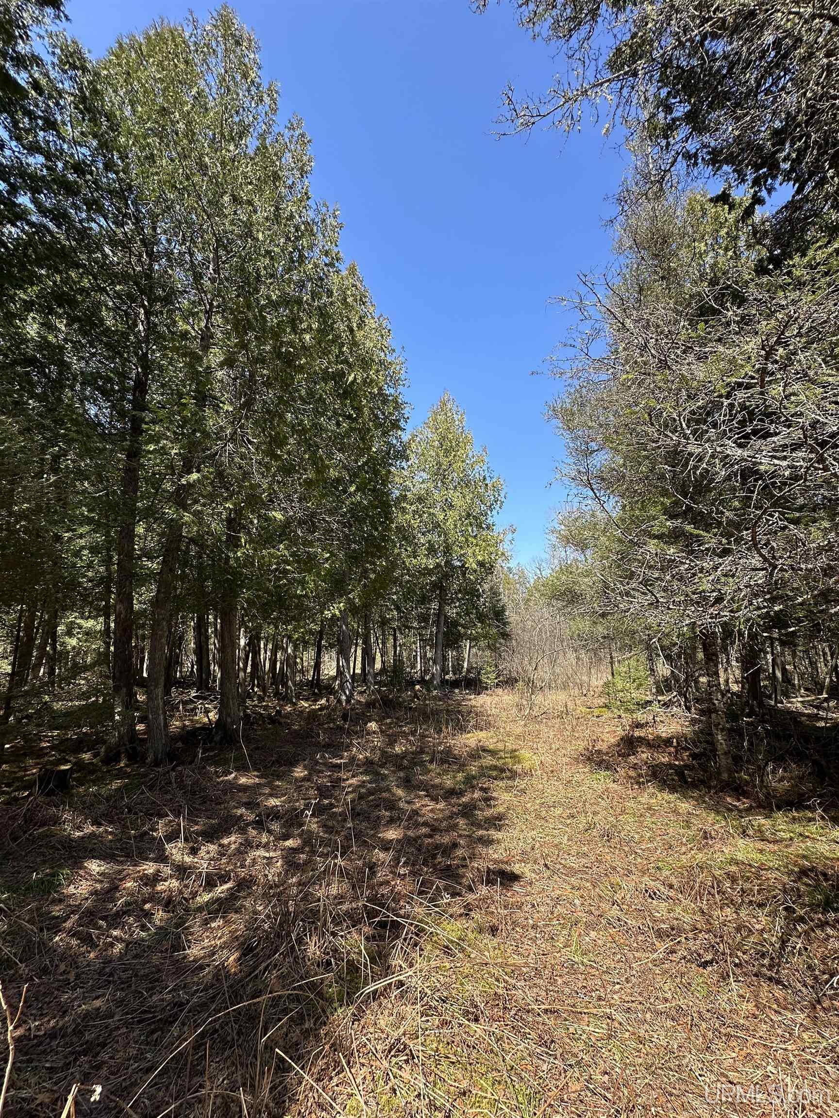 69 Old 69 Road Crystal Falls, MI 49920 - Photo 17 of 21