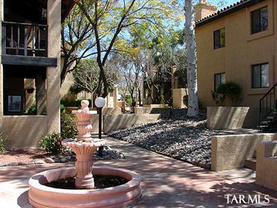 8271 North Oracle Road, Unit 244 Tucson, AZ 85704 - Photo 12 of 16 Gallery Image 12
