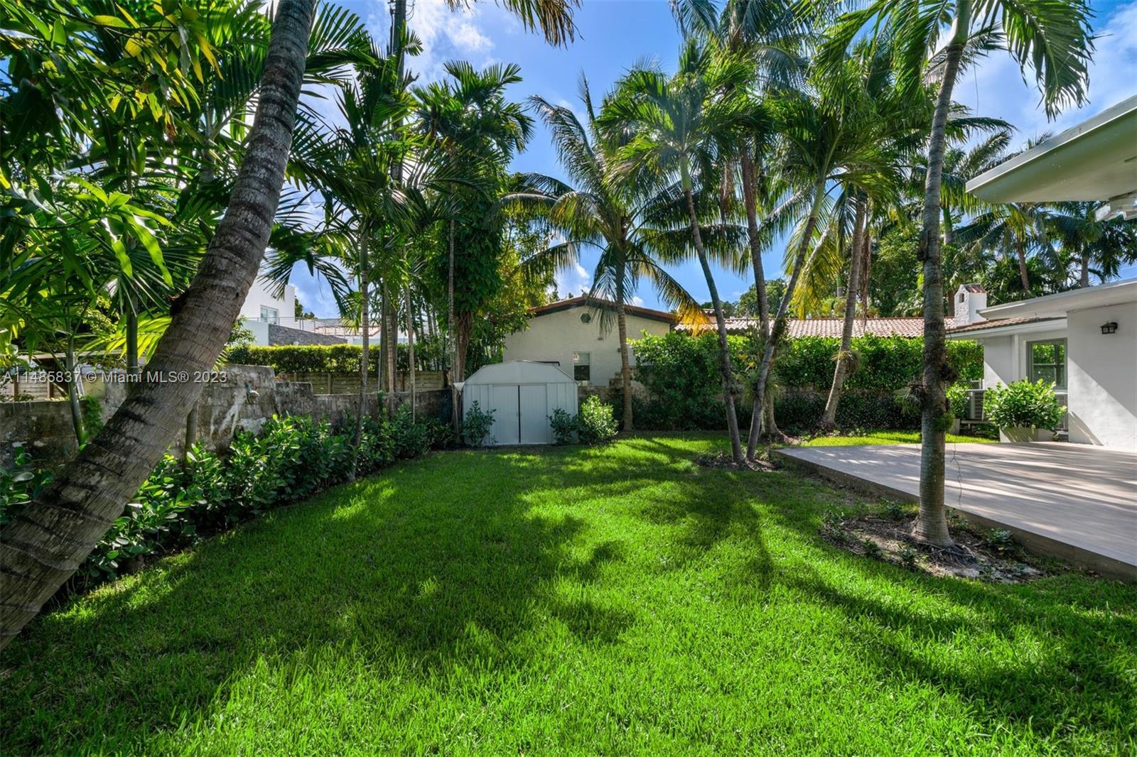 2385 North Bay Road Miami Beach, FL 33140 - Photo 32 of 35 a view of a backyard with palm trees