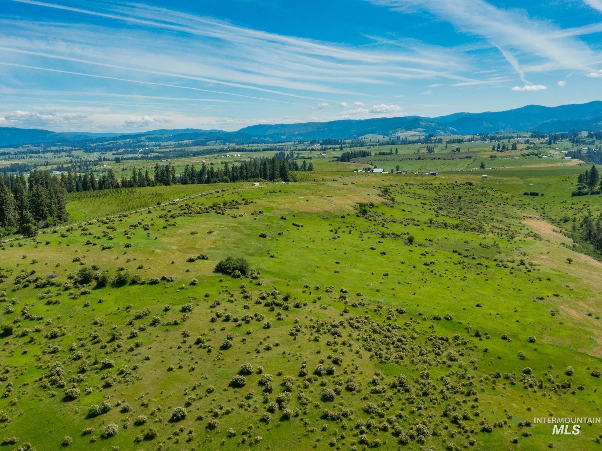 Tbd Brotnov Road Stites, ID 83552 - Photo 18 of 27 Gallery Image 18