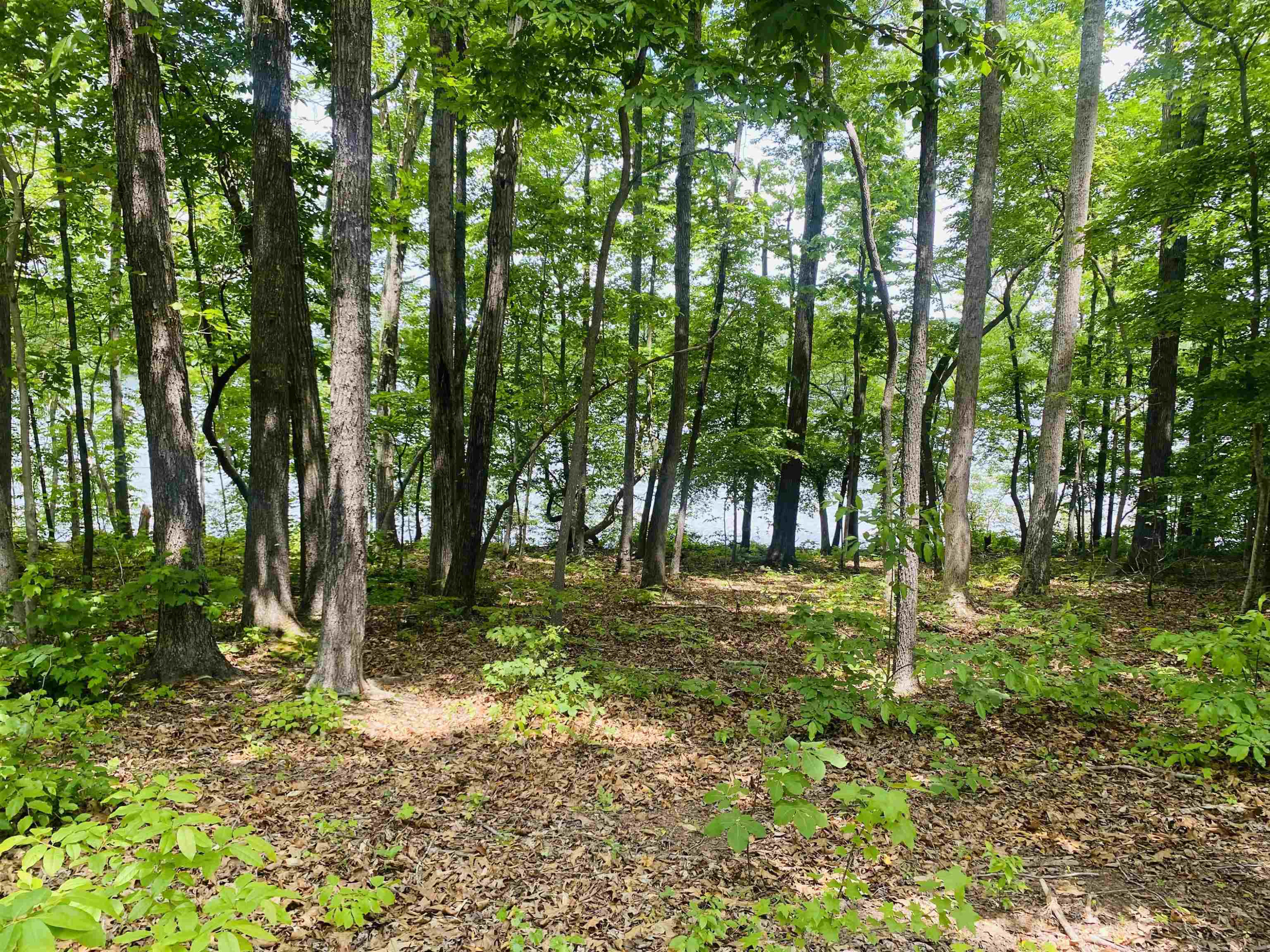 634 Fishermans Point Road Roxboro, NC 27574 - Photo 10 of 20 Photo 10