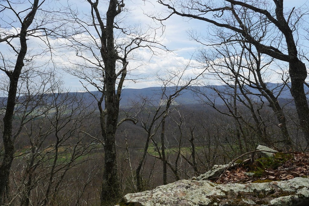 Tbd Unity Road, Unit 1 North Tazewell, VA 24630 - Photo 10 of 92 Gallery Image 10