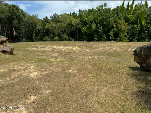 a view of yard with trees