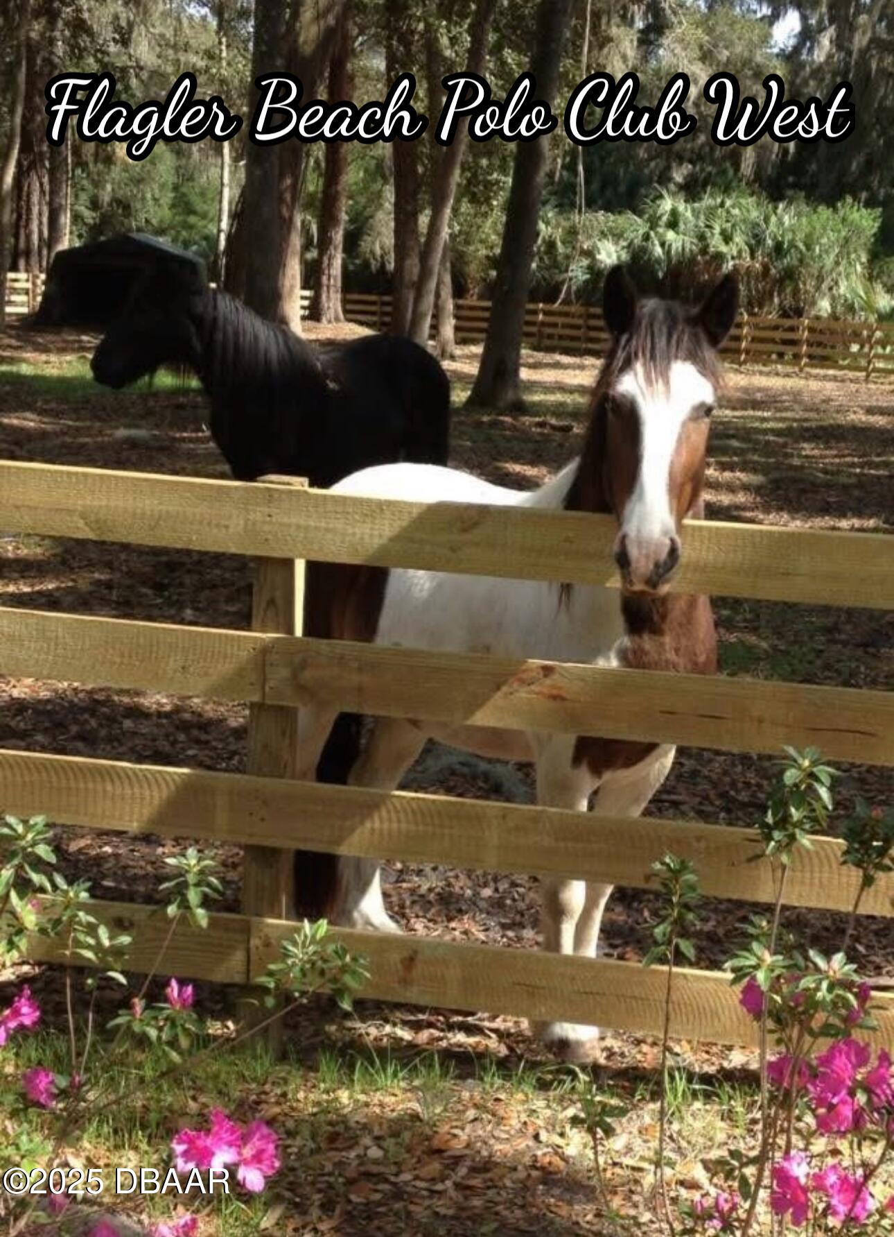 20 Secretariat Lane Flagler Beach, FL 32136 - Photo 3 of 5