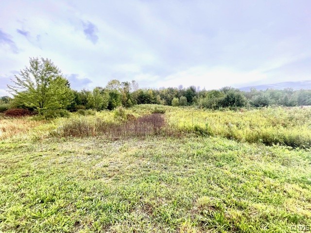 0 Senn Road Durhamville, NY 13054 - Photo 4 of 5 Gallery Image 4