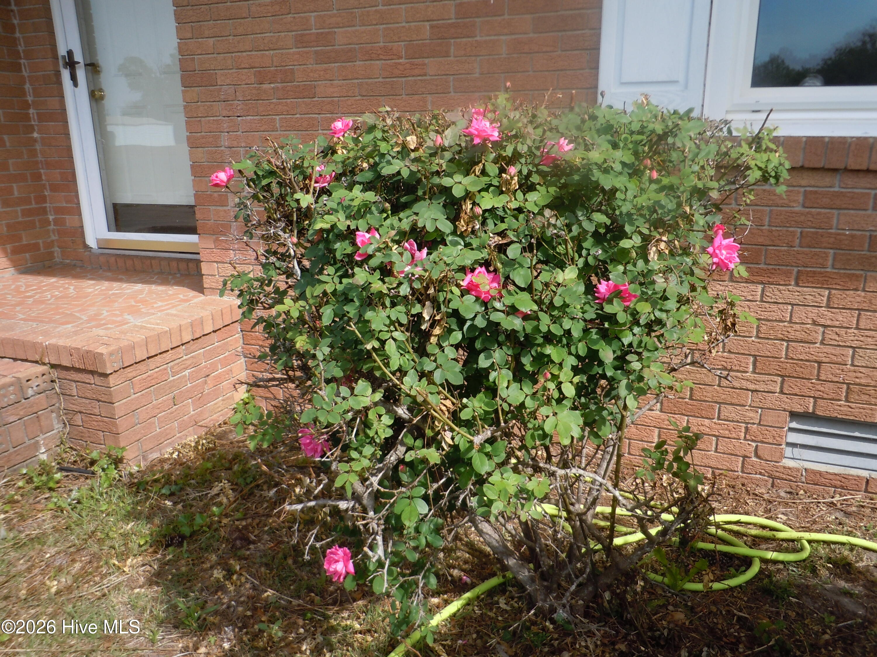 209 Complex Street Tabor City, NC 28463 - Photo 68 of 73 DSCN0850