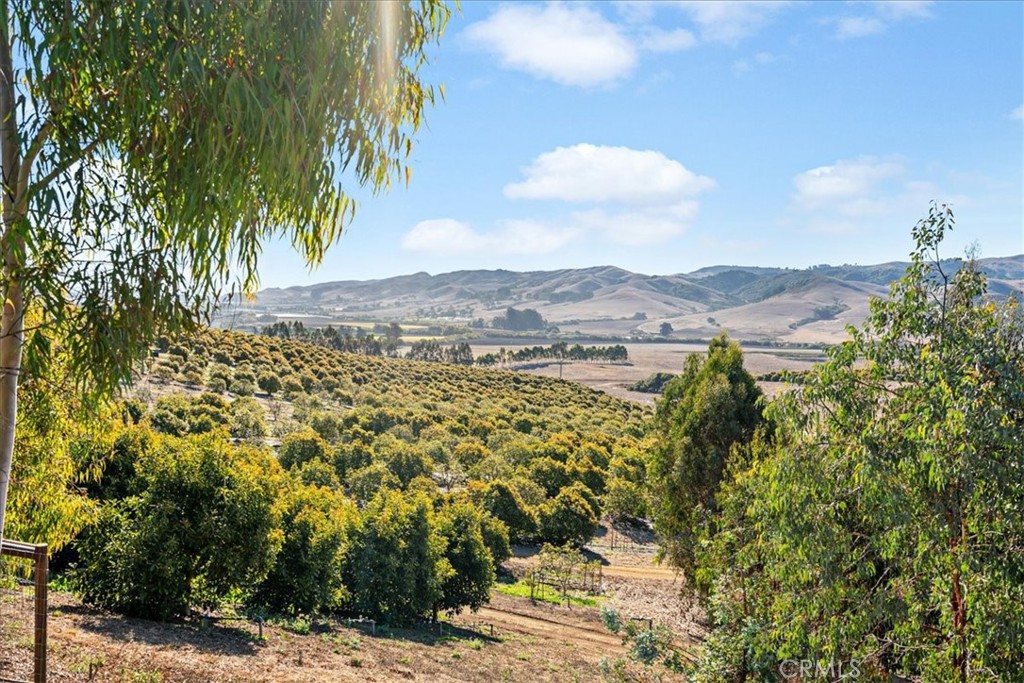 3515 Turri Road San Luis Obispo, CA 93405 - Photo 51 of 73 50 Acres of Avocado Orchards