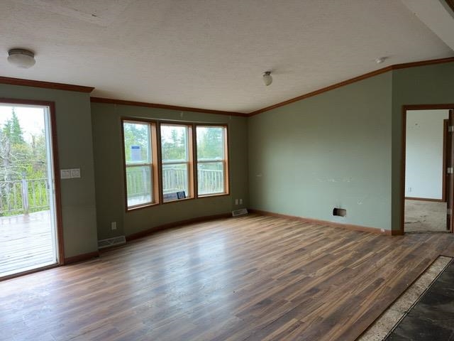 1335 Big Noise Pit Road Two Harbors, MN 55616 - Photo 10 of 20 Spare room featuring wood finished floors, healthy amount of natural light, ornamental molding, baseboards, and a textured ceiling
