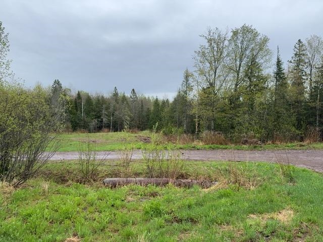 1335 Big Noise Pit Road Two Harbors, MN 55616 - Photo 13 of 20 View of wooded area