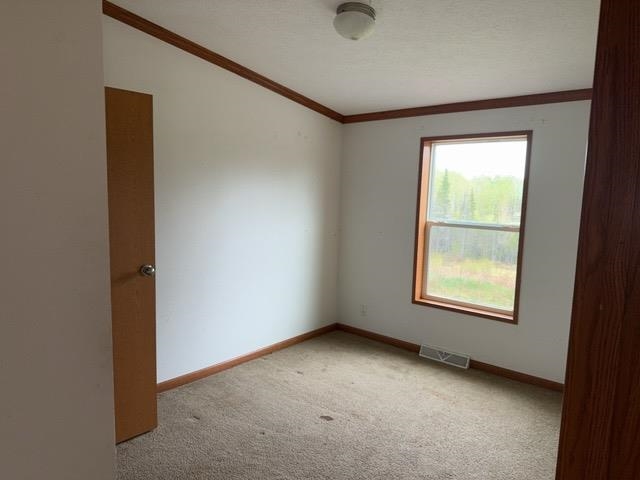 1335 Big Noise Pit Road Two Harbors, MN 55616 - Photo 16 of 20 Empty room with carpet flooring, crown molding, baseboards, and vaulted ceiling