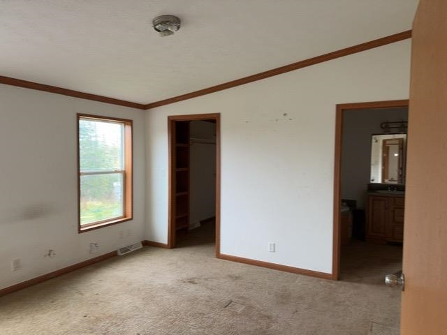 1335 Big Noise Pit Road Two Harbors, MN 55616 - Photo 2 of 20 Unfurnished bedroom with vaulted ceiling, light carpet, baseboards, crown molding, and ensuite bath