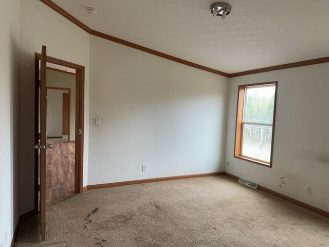 1335 Big Noise Pit Road Two Harbors, MN 55616 - Photo 3 of 20 Carpeted spare room with ornamental molding, baseboards, and a smoke detector
