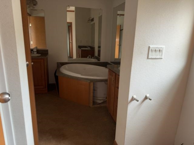 1335 Big Noise Pit Road Two Harbors, MN 55616 - Photo 4 of 20 Bathroom featuring two vanities