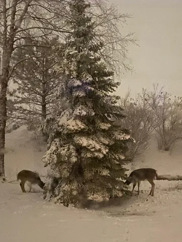 $1,075,000 | 1207 Adrian Drive, Chaska, MN 55318