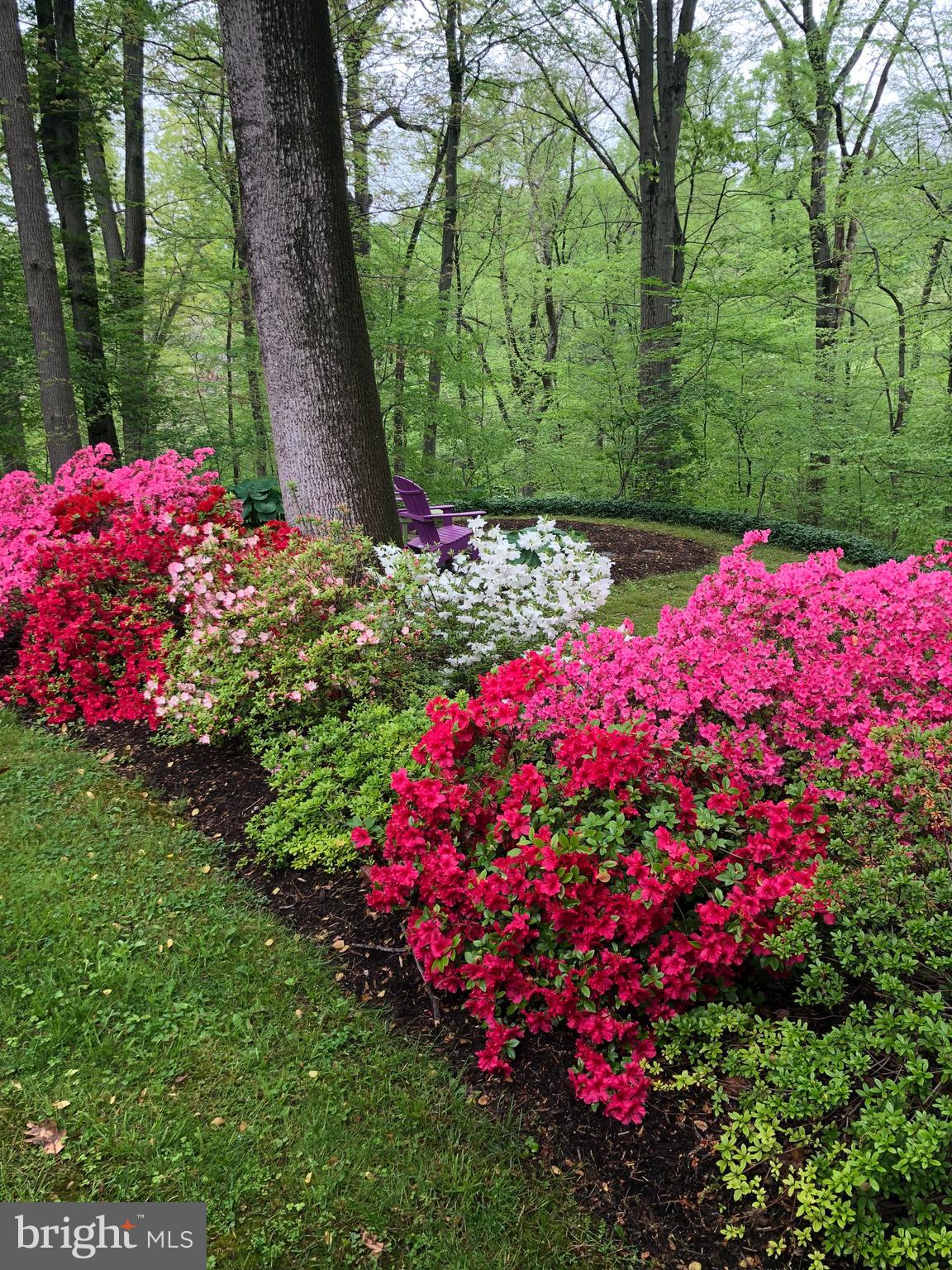 1304 Old Forge Road Oxford, PA 19363 - Photo 88 of 92 Summer Flowering Shrubs