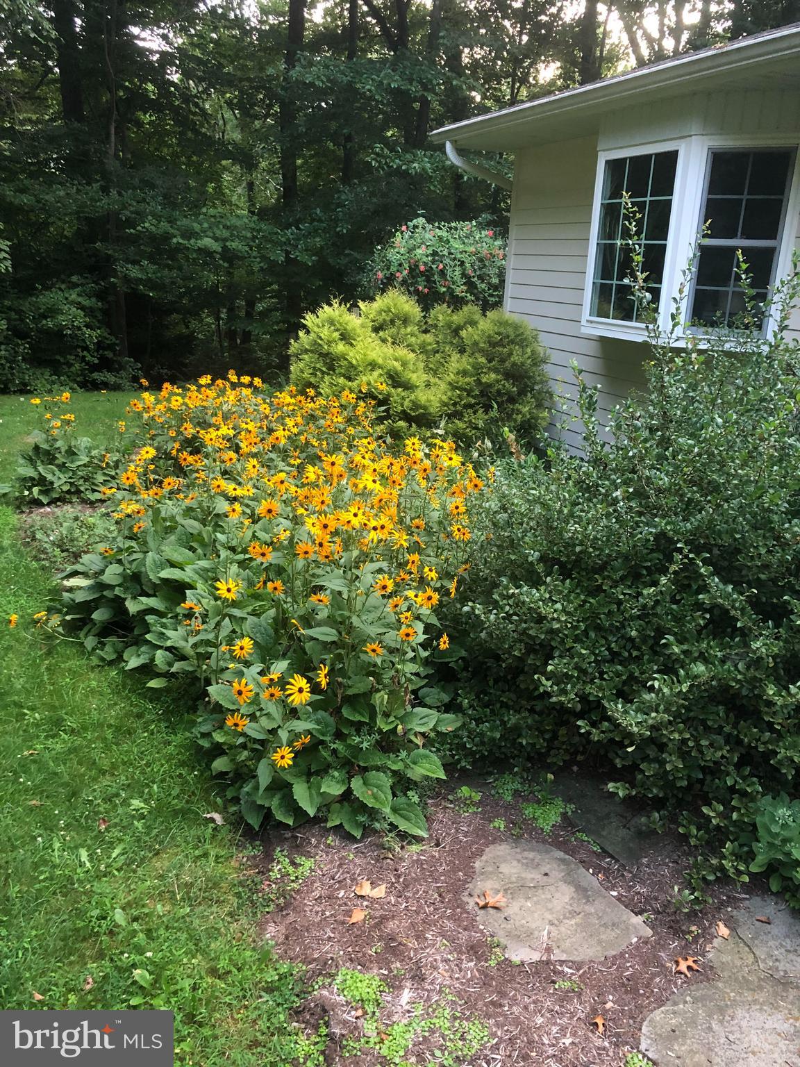 1304 Old Forge Road Oxford, PA 19363 - Photo 89 of 92 Summer Flowers