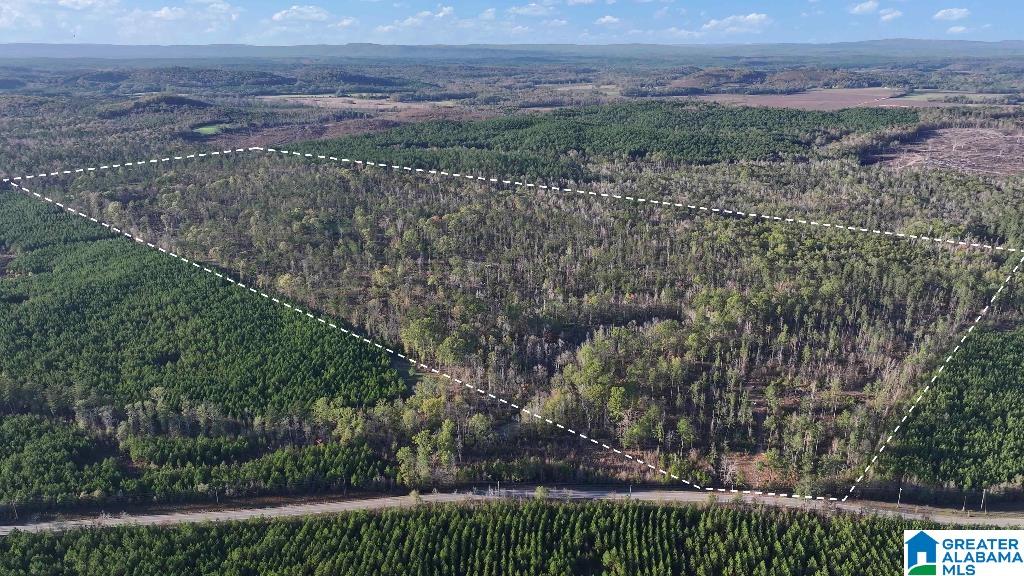 200 Kelly Creek Road Odenville, AL 35120 - Photo 5 of 47
