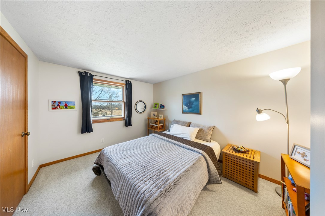 4515 State Road Medina, OH 44256 - Photo 18 of 36 Bedroom featuring baseboards, light carpet, and a textured ceiling