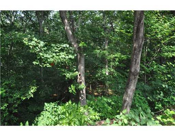 67 Harkness Road Millville, MA 01529 - Photo 1 of 1 Gallery Image 1