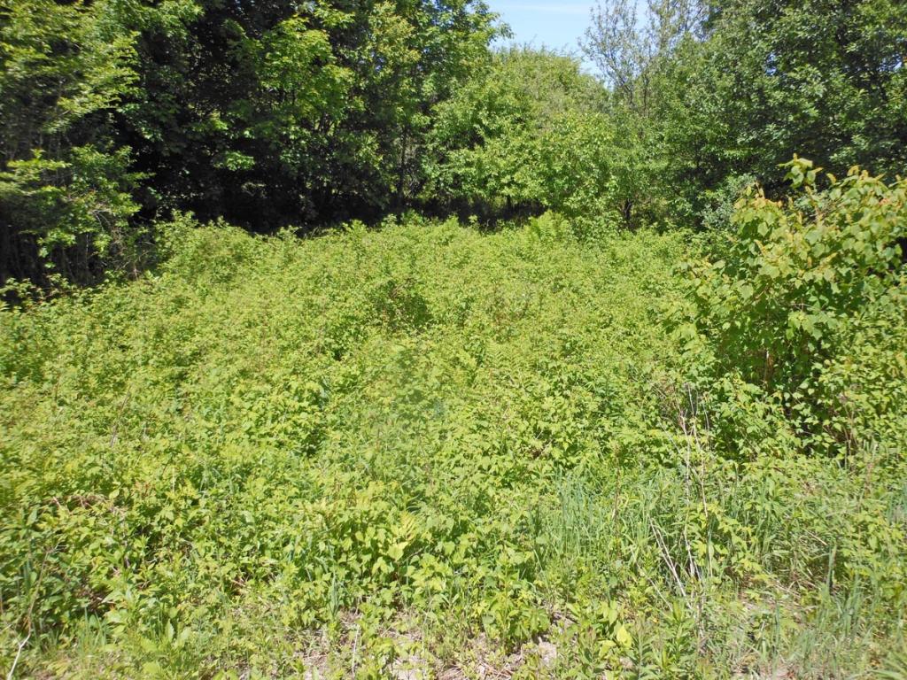 0 Wing Road Wolcott, VT 05680 - Photo 1 of 4