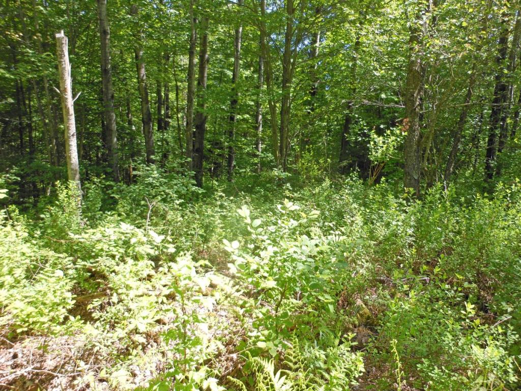 0 Wing Road Wolcott, VT 05680 - Photo 2 of 4