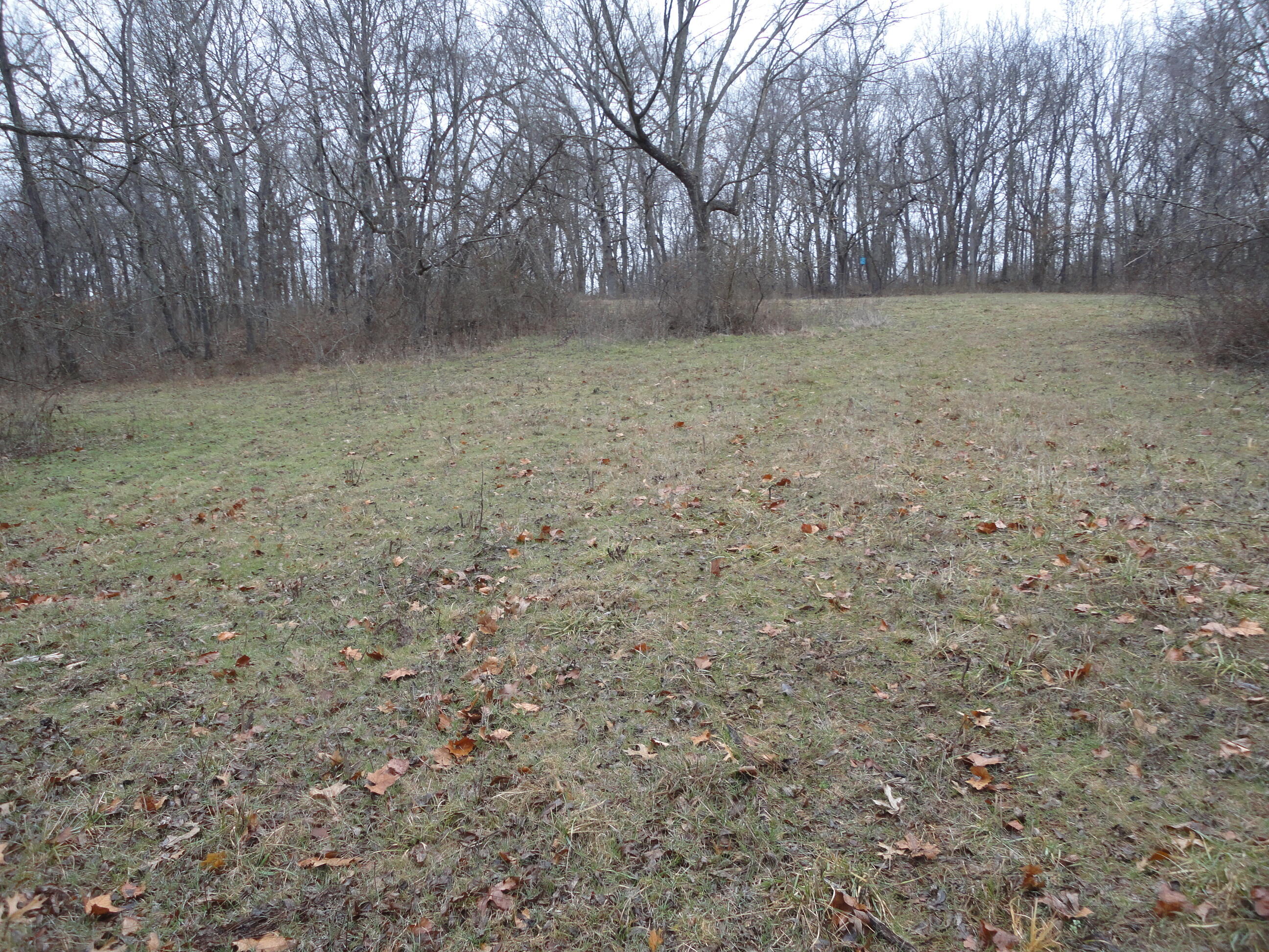 62305 East 270 Road Grove, OK 74344 - Photo 11 of 28 DSC03347