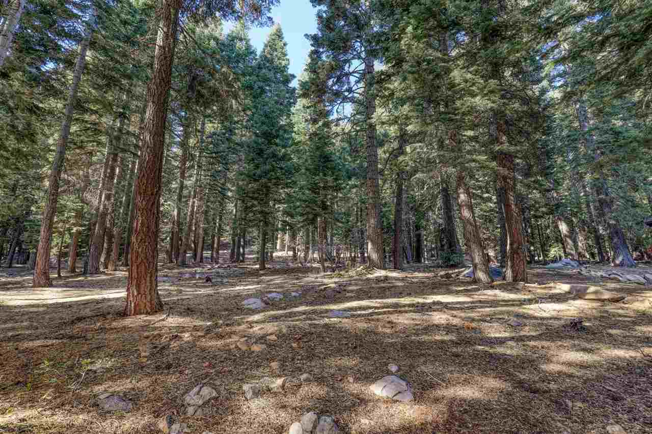 11842 Chamonix Road Truckee, CA 96161 - Photo 20 of 20 Gallery Image 20