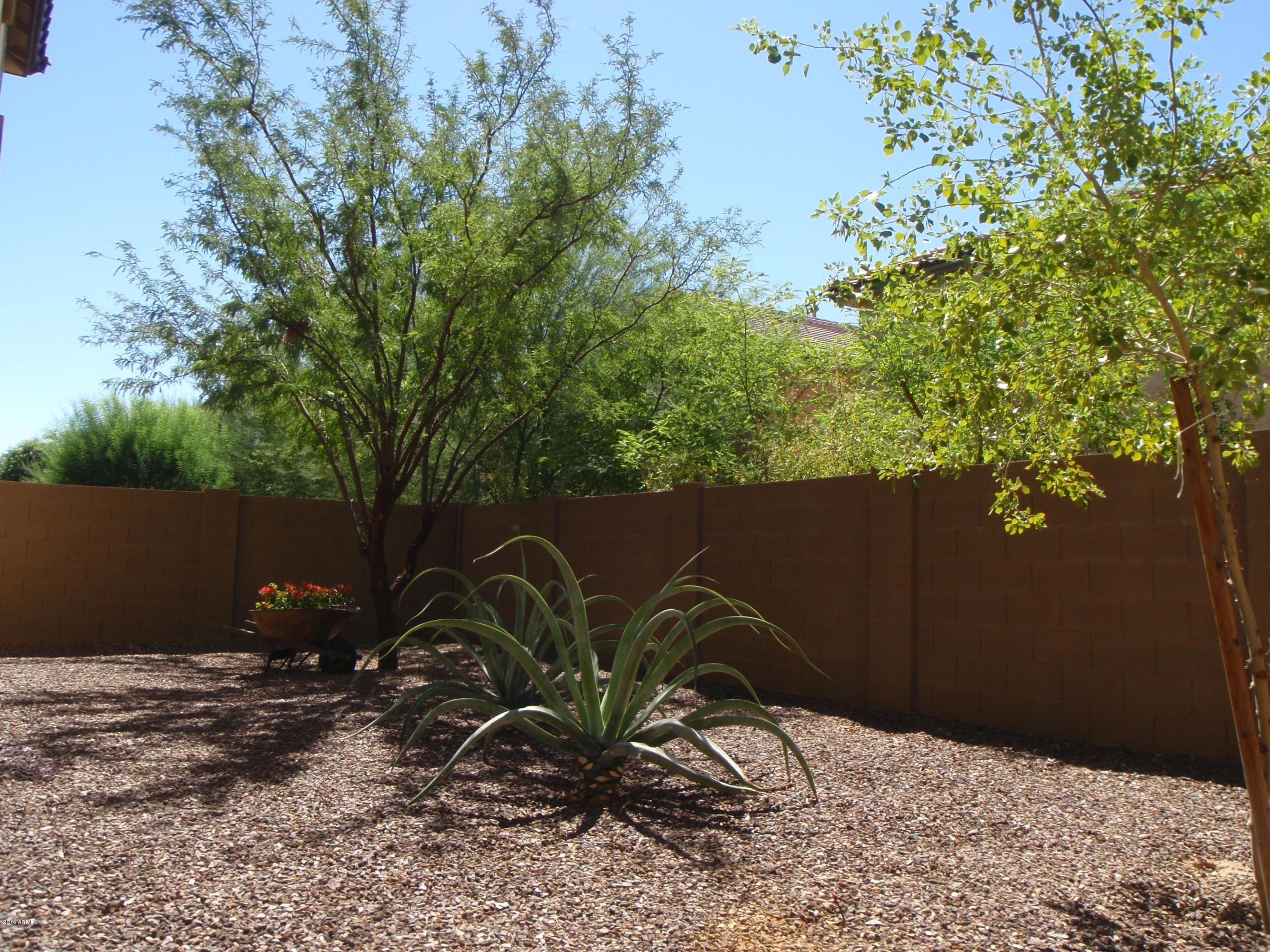 5437 West Parsons Road Phoenix, AZ 85083 - Photo 35 of 51 BACKYARD