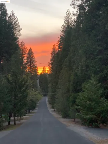 a view of a road with a trees